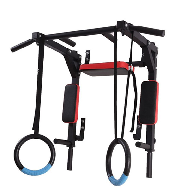 Barra paralela y de dominadas  - Home Gym Wall Mounted reseña y precio
