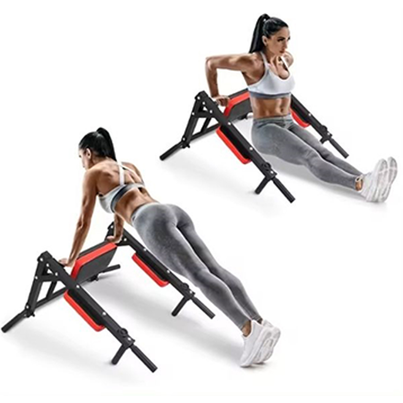 Barra paralela y de dominadas  - Home Gym Wall Mounted reseña y precio
