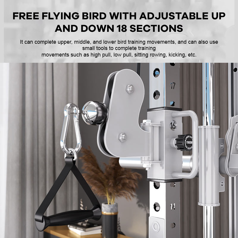 YTYIN Proveedor de Fábrica: Eq - Home Gym With Smith Machine reseña y precio